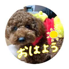 miochin_20260205232359