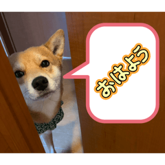 akira_20260206142204