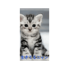 yurie_20260206185713