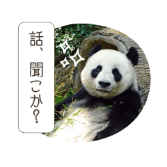 My Healing Stickers_20260206154051