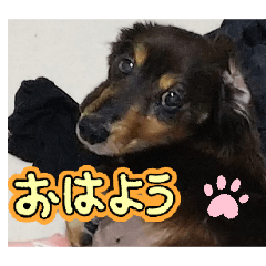 atomu_20260206154143