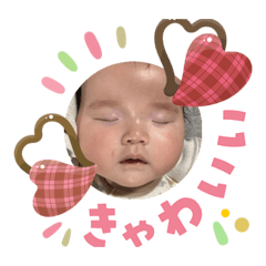 s.t.m._20260206155610