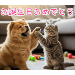 [お誕生日おめでとう専用]ブサカワ犬猫