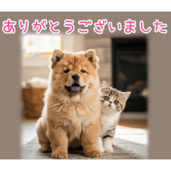 [ありがとうございました専用]ブサカワ犬猫