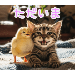 [ただいま専用]ひよ子と猫