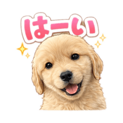 saorin_20260206060320