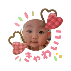 choco.loi_20260206132257