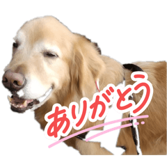 miryammsc_20260206075915