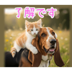 [了解です専用]バセットハウンドと猫