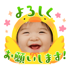 rebotan_20260206131916