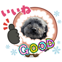 tyasumi@_20260206144029