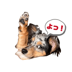 Hiiiin_20260206145018