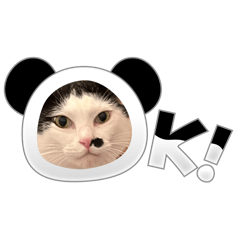 notte_20260206144232