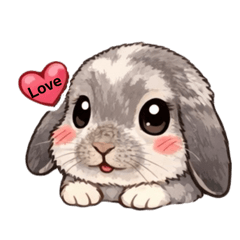 tugutuba_20260206094644