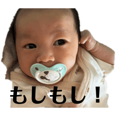 sugar_wing_20260206094655