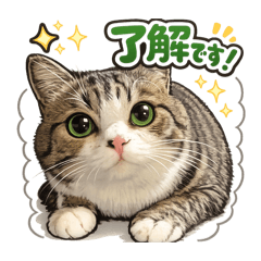 nyanchan_20260206094928