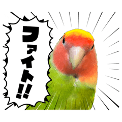 Tetsu Le Lent Studio_20260206095745