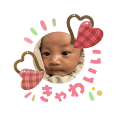 sugar_wing_20260206100548