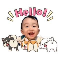 shokota_20260206100452