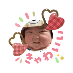 KAITO_20260206101201