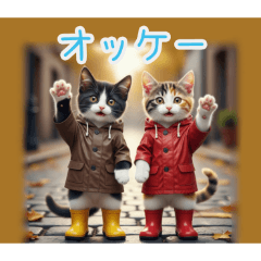 [オッケー専用]雨の日ネコ