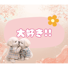 lu-&ray_20260206101403