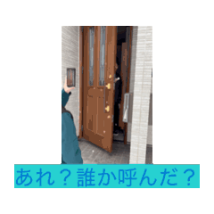 HIRANO_20260206163335