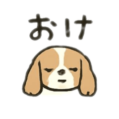 lililin_20260206163734