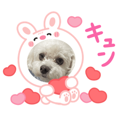 nagisa_20260206165308