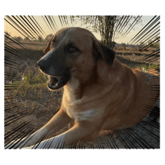 Nam Prik_20260206133134