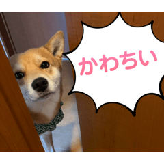 akira_20260206180359