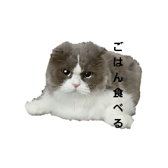 michiru_20260206180730