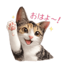 korilakkuman_20260206180651