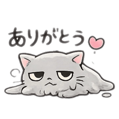 Melty Cat_20260206181128