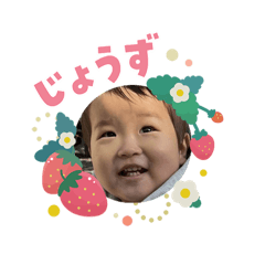 Ayamaru_20260206180930