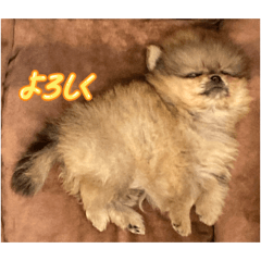 yutio_20260206180801