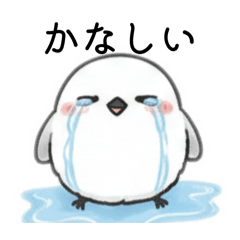 pappy_20260206134613