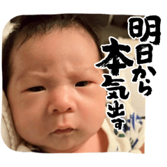 IQ150_20260206134702