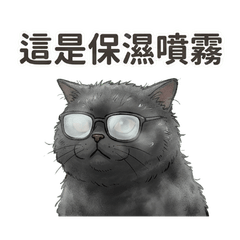 微濕生活：貓貓的雨天生存指南