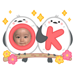 risa_20260206153703