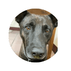 可愛小饅頭(˶‾᷄ ⁻̫ ‾᷅˵)