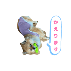 axnchan_20260206194126