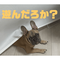 Tyrion_20260204231649