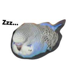 Zzz…嚕嚕日常(日常1）