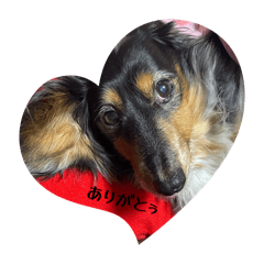 Chacha_20260206050158