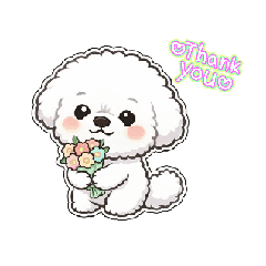 療癒比熊的節慶時光