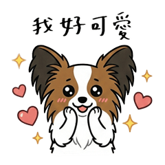 蝴蝶犬Luka ♡療癒你的每一天