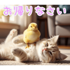 [お帰りなさい専用]ひよ子と猫