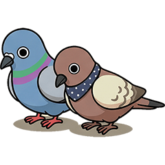 古菇顧珠頸斑鳩和朋友