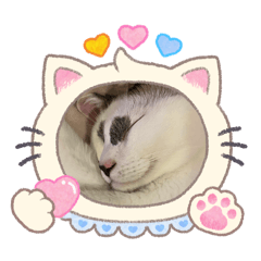 kanao_20260206205958